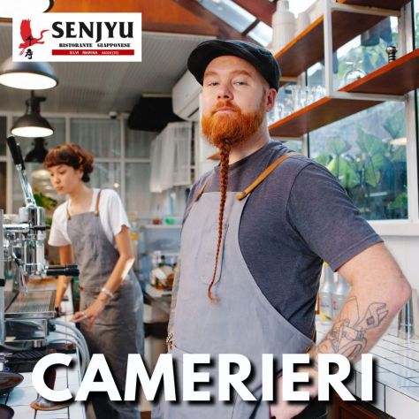 CAMERIERE, CAMERIERI con esperienza INDETERMINATO ATRI MONTESILVANO SILVI MARINA - Foto 3