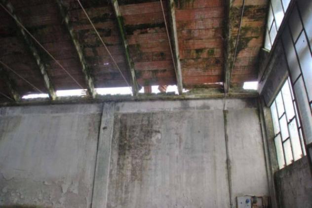 Immobile in asta di 1691 m² in vendita a Scandolara Ravara - Foto 6
