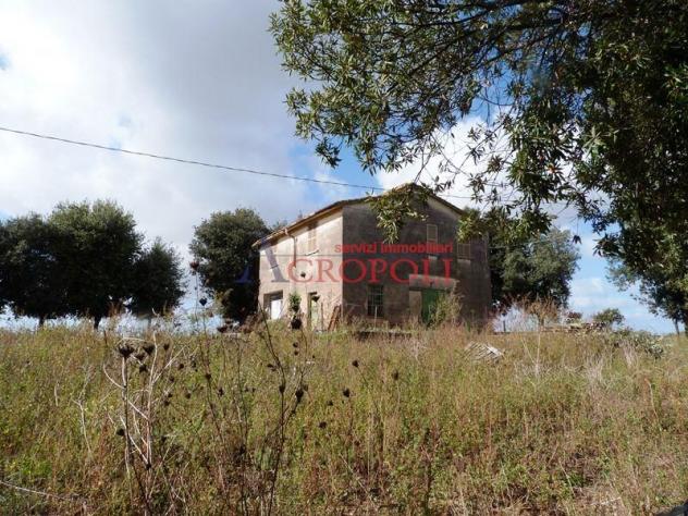 VIA CASALE DI SPANORA - CASA RURALE E TERRENO AGRICOLO IN VENDITA - Foto 12