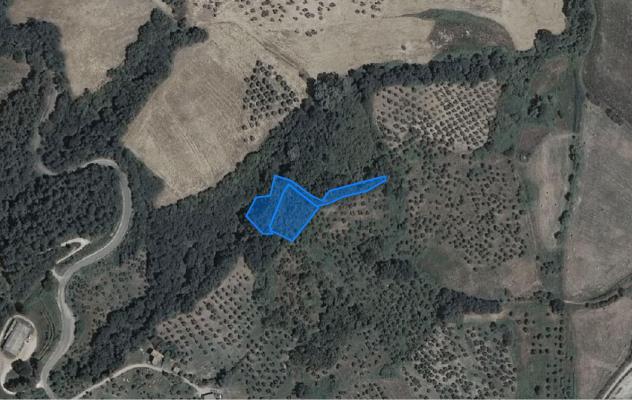 Terreno agricolo in vendita a Chianni 3400 mq Rif: 774563 - Foto 2