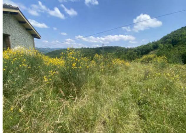 Immobile in asta di 1 m² in vendita a Torrita di Siena - Foto 4