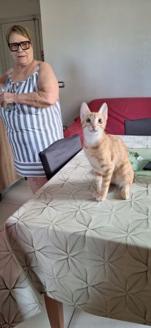 Zoe, una meravigliosa rossa - Foto 6