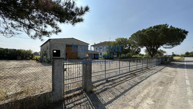 PROPRIETA' INDIPENDENTE - SAN MAURO PASCOLI VIA SELVE 108 - Foto 3