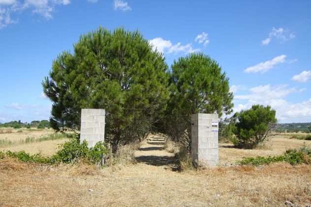 Terreno edificabile - Foto 3