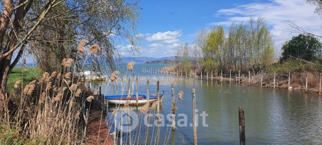 Tuoro sul Trasimeno vendesi terreno agricolo 10000 Mq - Foto 5
