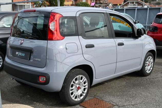 FIAT Panda 1.0 Firefly S&S Hybrid Easy rif. 22268876 - Foto 5
