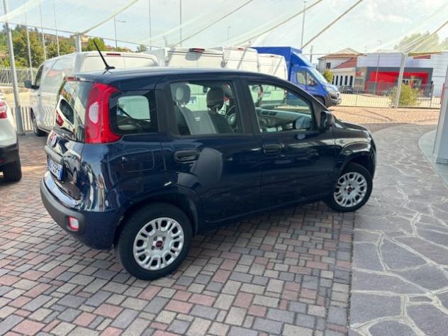 FIAT Panda 1.2 Easy rif. 23999989 - Foto 4