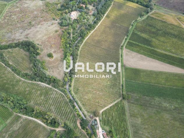 PODERE AGRICOLO DI CIRCA HA 31 OLTRE A CORTE CON CASA COLONICA E SERVIZI - Foto 12