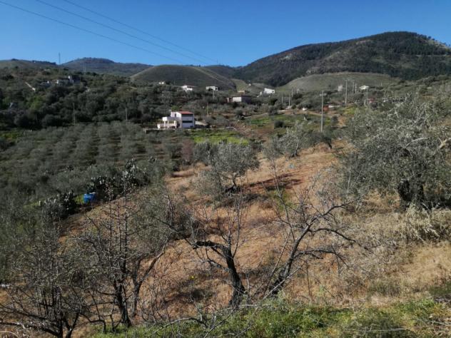 Agricolo in SP126 - Foto 7