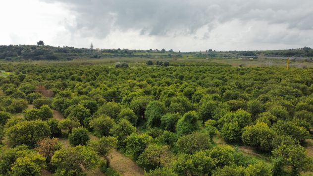 Terreno in vendita in Contrada Fiumara s.n.c., Centro, Noto - Foto 10