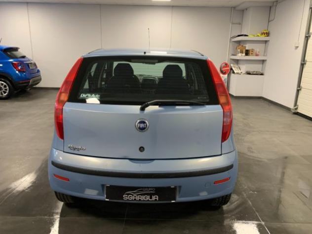 FIAT Punto 1.2 Benzina 5 Porte Dynamic rif. 23992168 - Foto 5