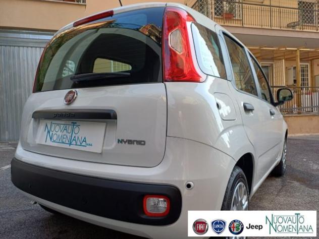 FIAT Panda 1.0 FireFly S&S Hybrid Pop Km0 PRONTA CONSEGNA rif. 23972190 - Foto 9