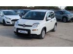 FIAT Panda 1.0Hybrid Firefly 70cv rif. 24182296