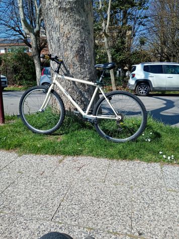 Bicicletta montain bike