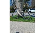 Bicicletta montain bike