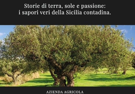 Cercasi Agenti di Commercio Plurimandatari Nuova Linea Olio Siciliano Ho.Re.Ca.