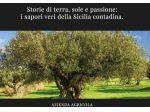 Cercasi Agenti di Commercio Plurimandatari Nuova Linea Olio Siciliano Ho.Re.Ca.