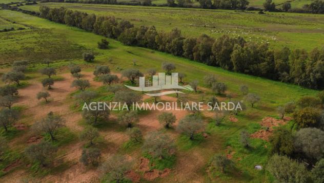 Terreno edificabile in vendita a Alghero - Foto 6