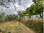 Terreno edificabile in vendita a Arcola