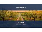 Immobile in asta di 130 m² in vendita a Ribera