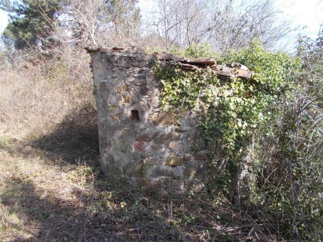 Terreno agricolo in Vendita in zona MONTORSOLI con giardino - Foto 4