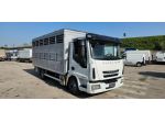 IVECO EUROCARGO 100E22 TRASPORTO ANIMALI MT5.10+SPONDA rif. 20766840
