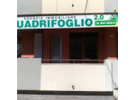 Quadrifoglio 2.0