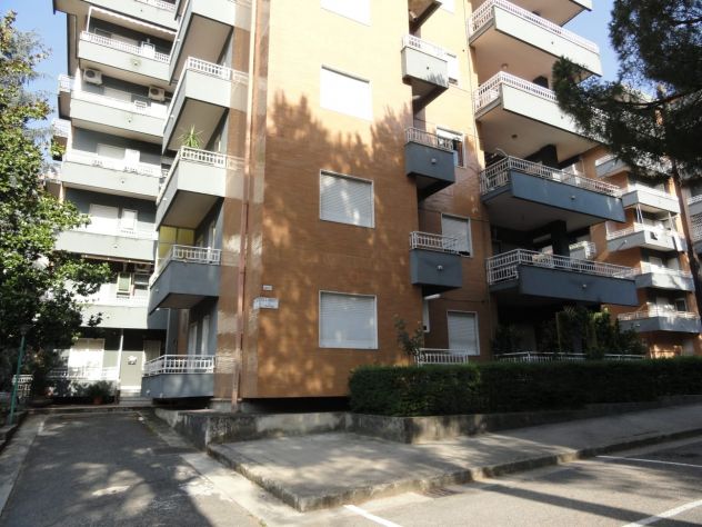 Stanza in affitto per ragazze – Zona Commenda - Foto 6