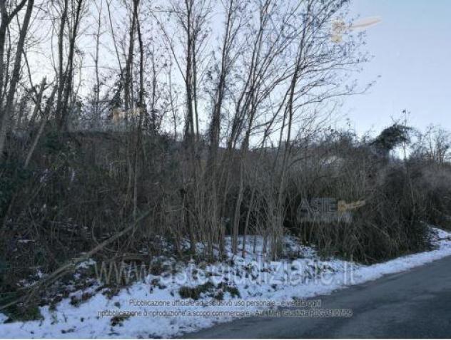IMMOBILI-ALTRA CATEGORIA-Localita' Moiolo di Cassano SNC - Foto 5