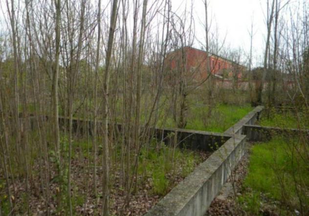 Immobile in asta di 1274 m² in vendita a Rodigo - Foto 11