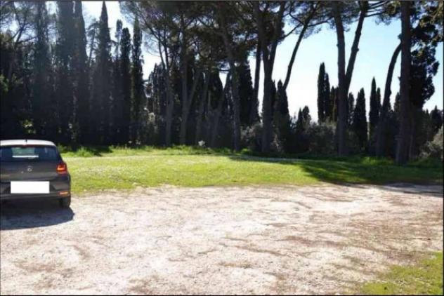 Immobile in asta di 5064 m² in vendita a Vinci - Foto 6
