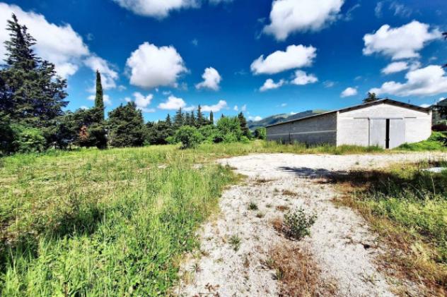 Immobile in asta di 5080 m² in vendita a Gubbio - Foto 5