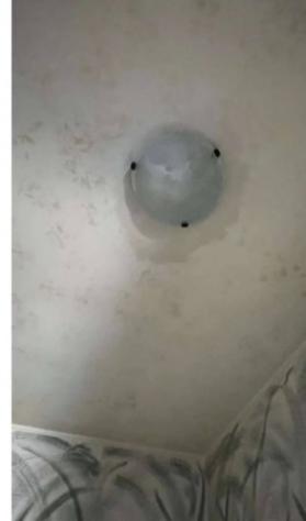 Immobile in asta di 154 m² con più di 5 locali in vendita a San Severo - Foto 8