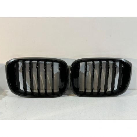 BMW X3 G01/X4 G02 Griglia Rene Sinistra-14951 - Foto 5