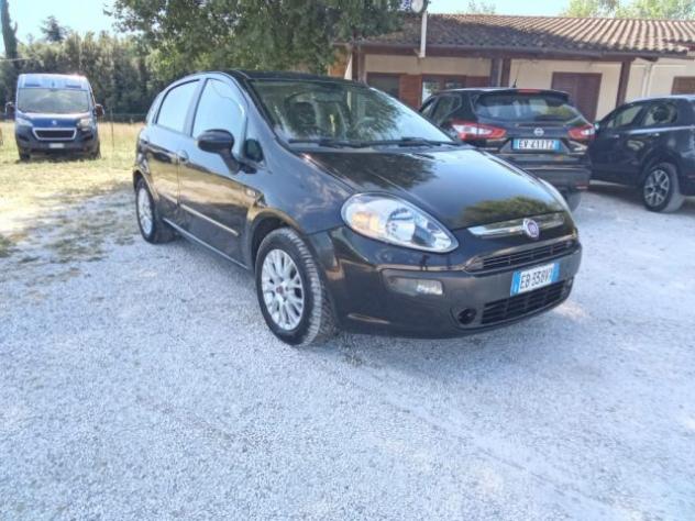 FIAT Punto Evo 1.3 Mjt 75 CV 5 porte Active PER NEOPATENTATI rif. 23921874