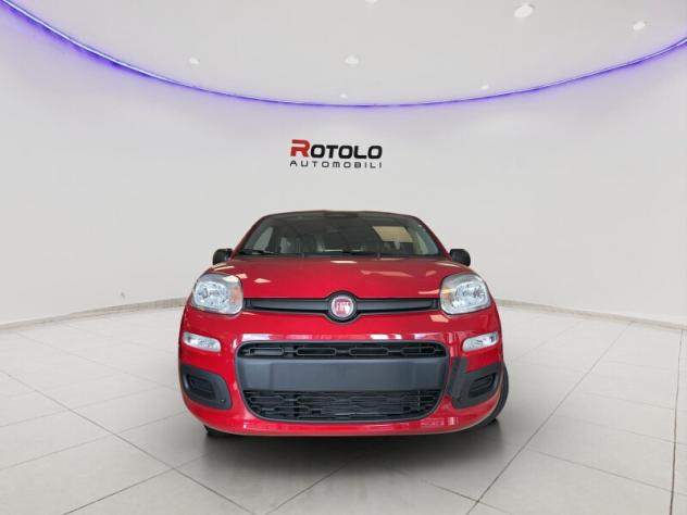 FIAT Pandina Pandina 1.0 FireFly 65 CV Hybrid Icon - Foto 2