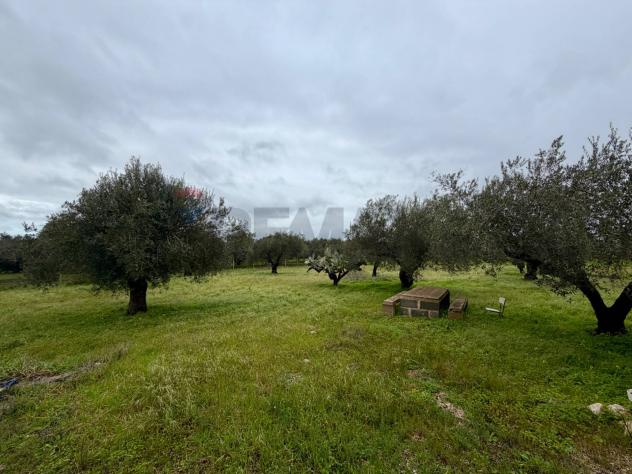 Terreno in vendita a Chiaramonte Gulfi - Foto 7