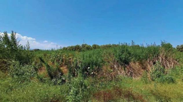 Immobile in asta di 277110 m² in vendita a Gioia Tauro - Foto 20