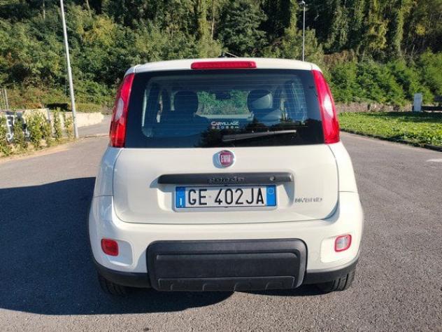 FIAT Panda 1.0 FireFly 70cv S&S Hybrid - Foto 7