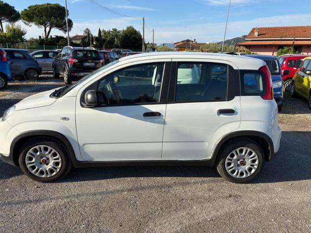 FIAT Panda 1.0 FireFly S&S Hybrid - Foto 4