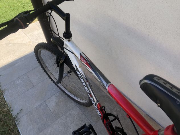 Bicicletta - Foto 4