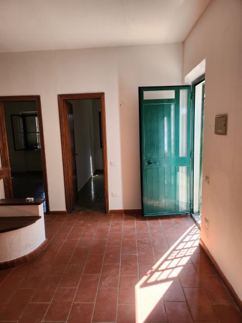 Calci - Villetta singola immersa nel verde - Foto 3
