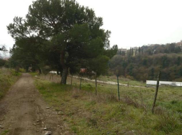 Immobile in asta di 58454 m² in vendita a Montefiascone - Foto 9