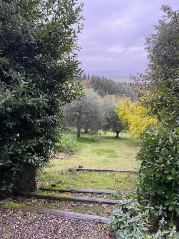 Casale in vendita a Fogliano Grosso - Siena 350 mq Rif: 853188 - Foto 4