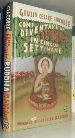 Come diventare un buddha in cinque settimane
