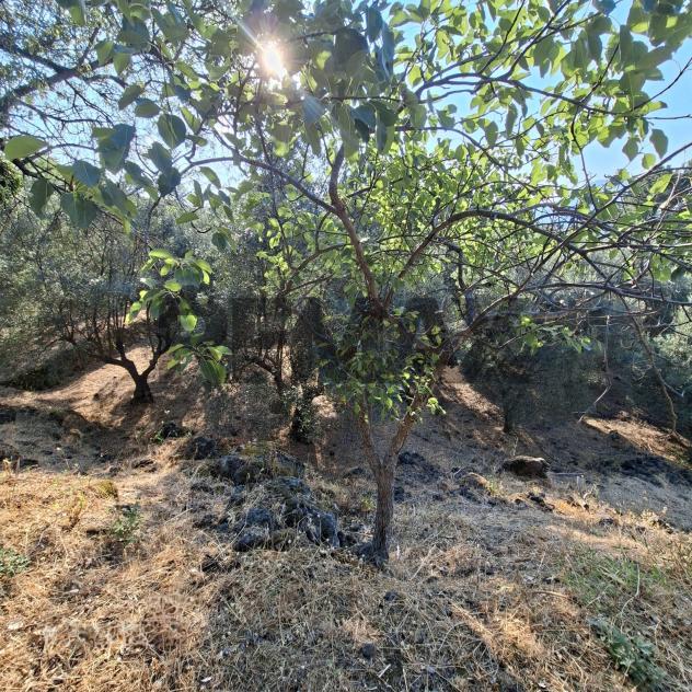Terreno in vendita a Castiglione di Sicilia - Foto 13