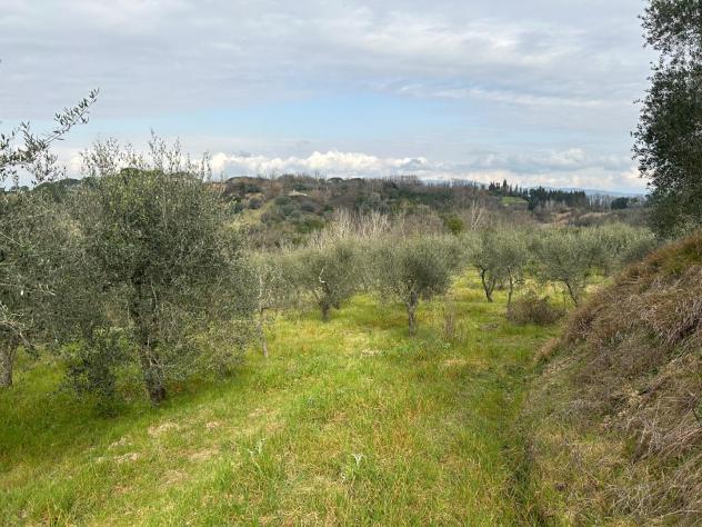 Terreno agricolo in vendita a Corniola - Empoli 20000 mq Rif: 1099670