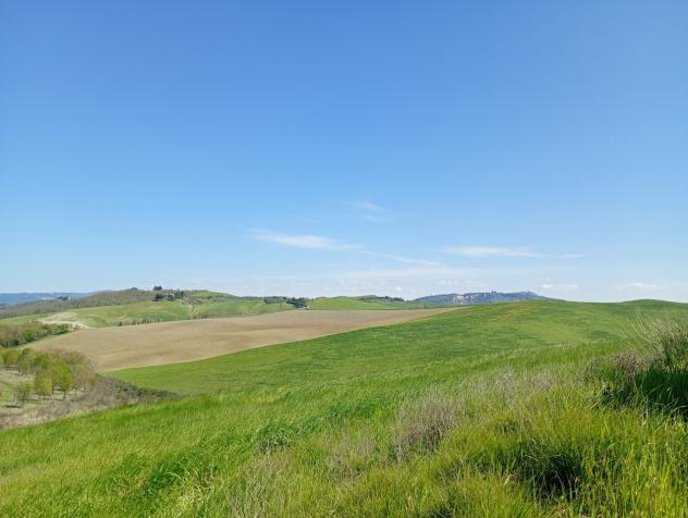 COLONICA di 8 vani e di 800 mq (LAJATICO) rif. L 300 - Foto 4