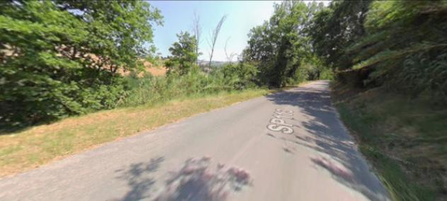 Immobile in asta di 36120 m² in vendita a Montottone - Foto 7