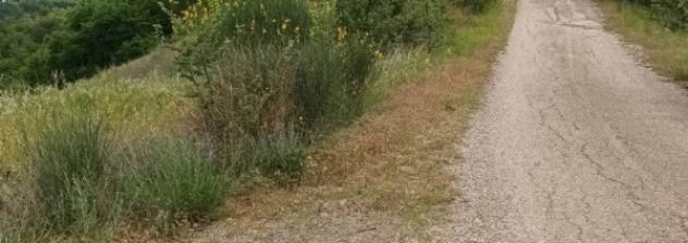 Immobile in asta di 460383 m² in vendita a Penne - Foto 6